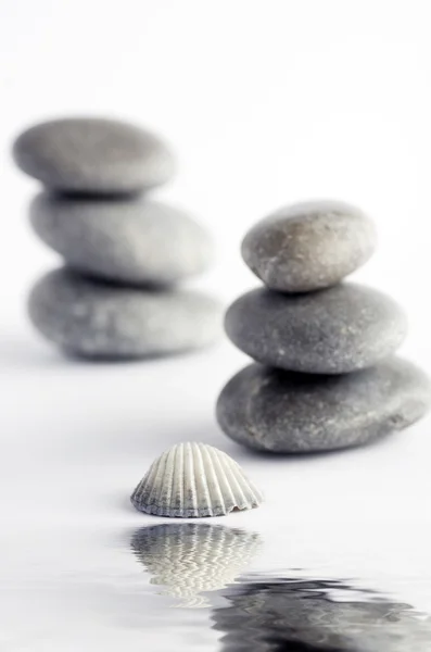 Elementos naturales del spa: concha marina con concha estrellada y piedras en el blanco — Foto de Stock