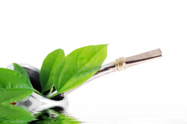  Yeşil yerba mate fincanla yapraklar