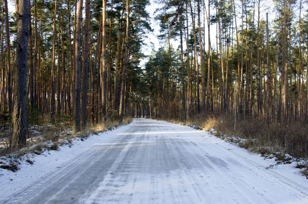 Winterliche Landstraße mit Tannenwald auf der Seite (bewölkter Tag). — Stockfoto