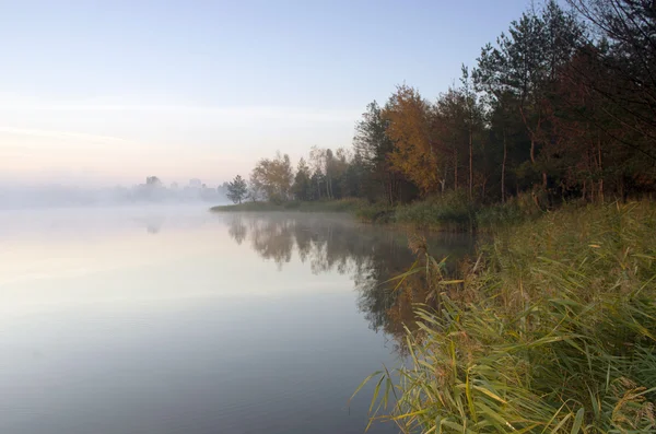 Mglisty poranek krajobraz jesień parku w pobliżu jeziora. Ubierania — Zdjęcie stockowe