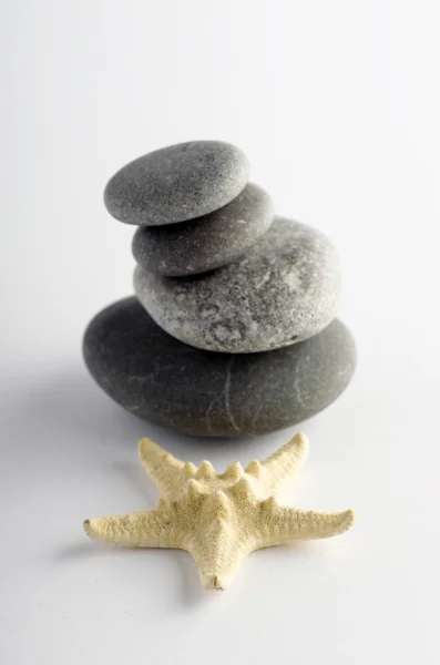 Elementos naturales del spa: concha marina con concha estrellada y piedras en el blanco — Foto de Stock