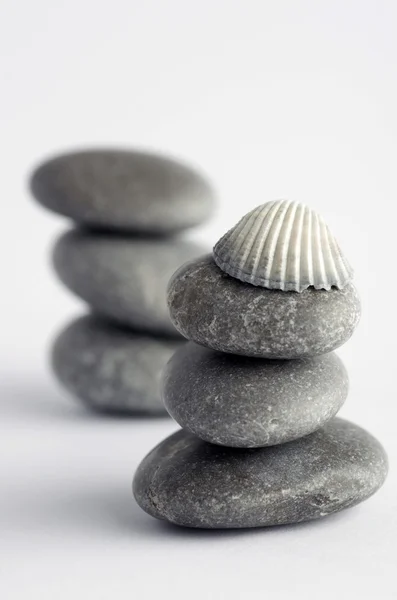 Éléments de spa naturels- coquillage avec coquille d'étoile et pierres sur le blanc — Photo