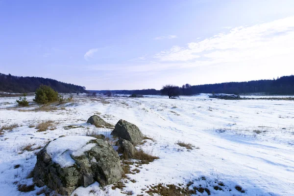 Snow Covered Meadow in a winter Stock Picture