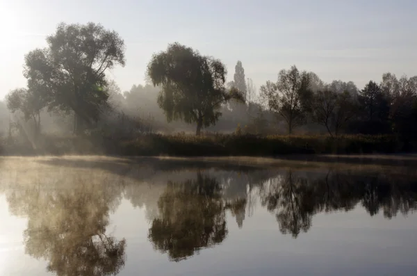 Niebla paisaje matutino en el parque de otoño cerca del lago . — Foto de Stock