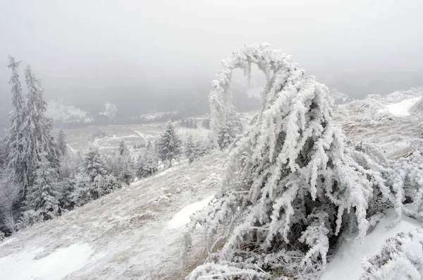 Winterruhige Berglandschaft — Stockfoto