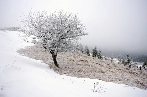 Winterruhige Berglandschaft — Stockfoto