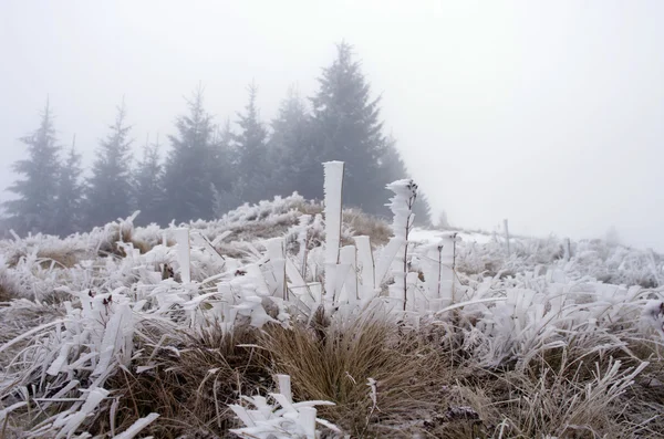 Inverno paisagem serrana calma — Fotografia de Stock