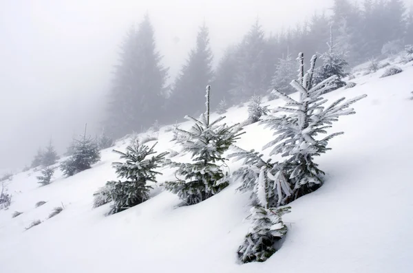 Winterruhige Berglandschaft — Stockfoto