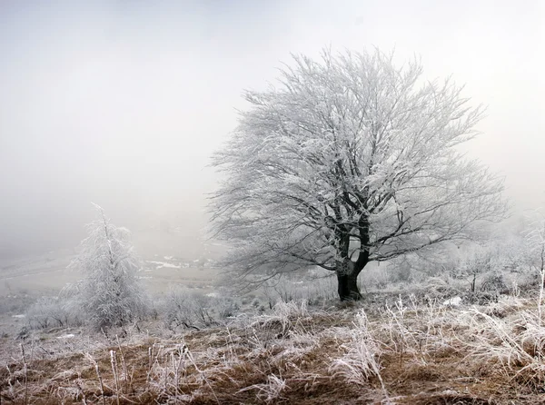 Inverno paisagem serrana calma — Fotografia de Stock