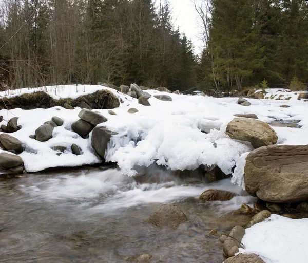 Eau courante du ruisseau de montagne des Carpates — Photo