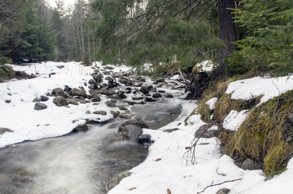 Strömmande vatten av Karpaterna fjällbäck — Stockfoto