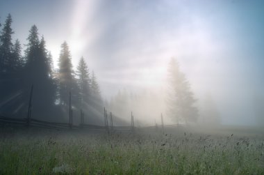 akşam Dağı Yaylası peyzaj (Karpat, Ukrayna)