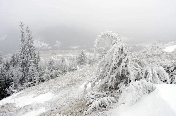 Invierno calma montaña paisaje — Foto de Stock