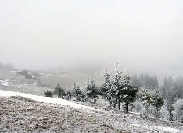 Kış sakin dağ manzarası — Stok fotoğraf