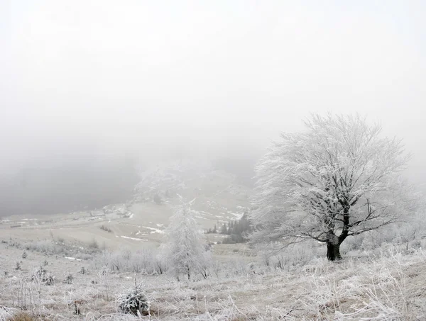 Inverno paisagem serrana calma Imagem De Stock