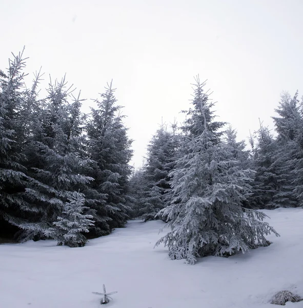 Inverno tranquillo paesaggio montano — Foto Stock