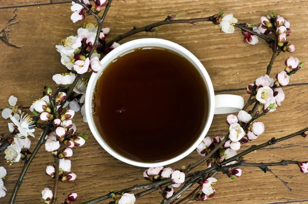 Tea with apricot flowers and branches on table, top view — Stock Photo, Image