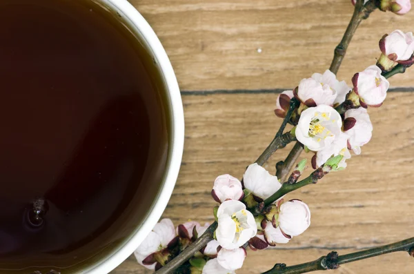 Tee mit Aprikosenblüten und Zweigen auf dem Tisch, Draufsicht — Stockfoto