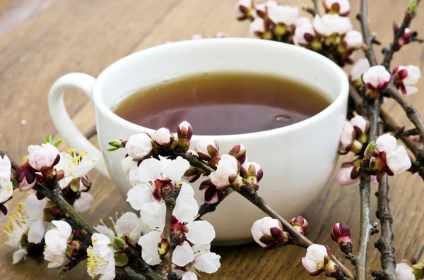 Chá com flores de damasco e ramos na mesa, vista superior — Fotografia de Stock