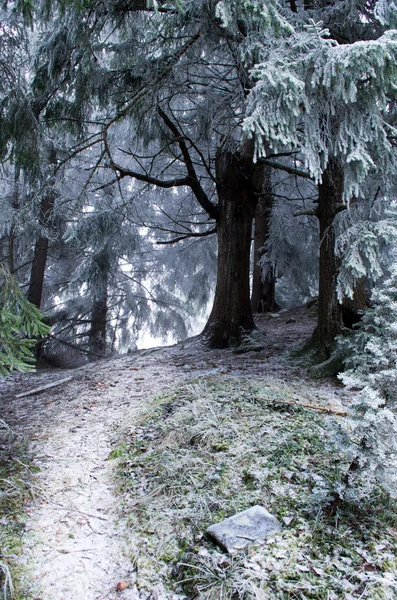 Inverno paisagem serrana calma — Fotografia de Stock