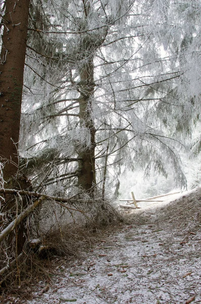 Winterruhige Berglandschaft — Stockfoto