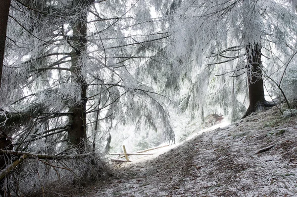 冬の穏やかな山の風景 — ストック写真