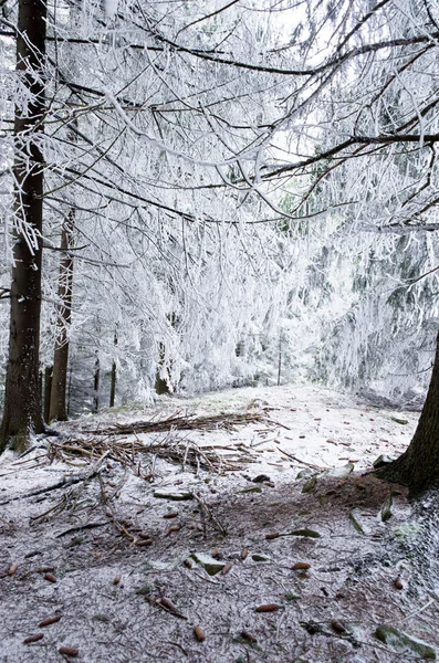 Inverno paisagem serrana calma — Fotografia de Stock