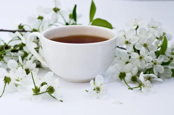 Tea with cherry flowers and branches on white table, top view — Stock Photo, Image