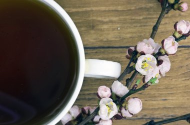 çay kayısı çiçek ve tablo, üstten görünüm dallarda