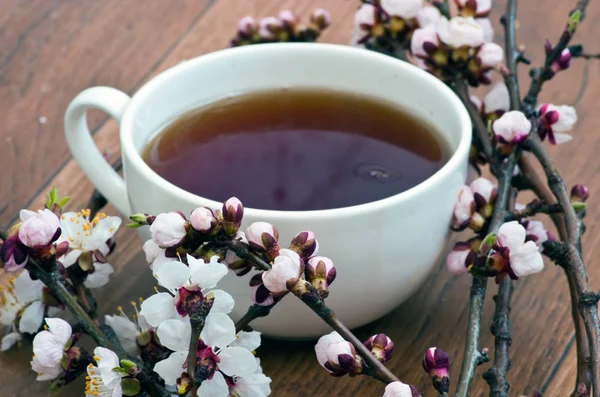 Tea with apricot flowers and branches on table, top view — Stock Photo, Image