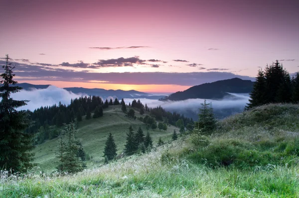 Paysage de plateau montagneux du soir (Carpates, Ukraine ) — Photo