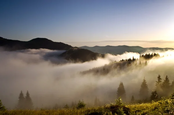 Abendliche Hochplateau-Landschaft (Karpaten, Ukraine) — Stockfoto