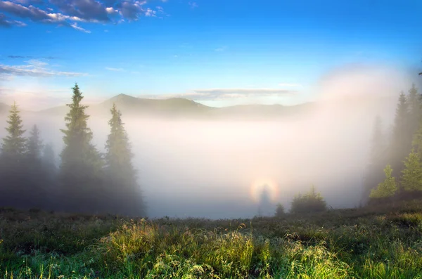 Abendliche Hochplateau-Landschaft (Karpaten, Ukraine) — Stockfoto