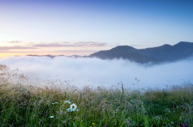 akşam Dağı Yaylası peyzaj (Karpat, Ukrayna)