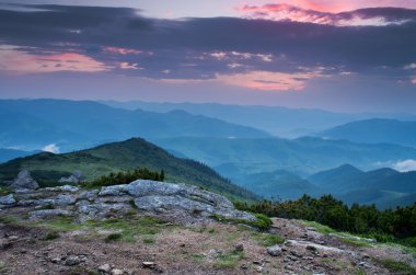 akşam Dağı Yaylası peyzaj (Karpat, Ukrayna)