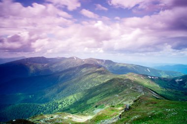 sihirli pembe ormangülü çiçek dağlarında. Yaz gündoğumu