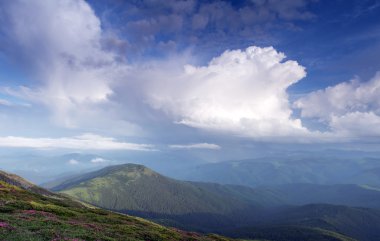 sihirli pembe ormangülü çiçek dağlarında. Yaz gündoğumu