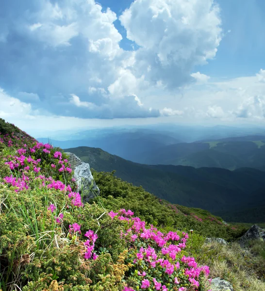 Monti Carpazi. Panorama delle montagne — Foto Stock
