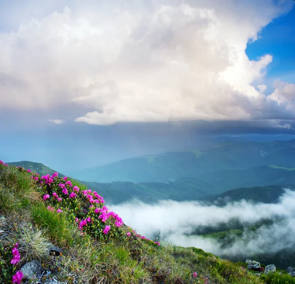 Karpat Dağları. Dağların Panoraması — Stok fotoğraf