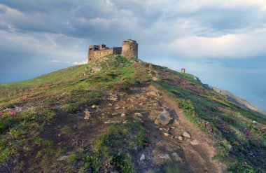  Rasathane bakan yamaçta çiçeklenme ormangülü