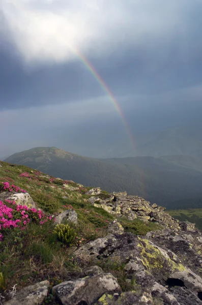 Avond plateau berglandschap met regenboog (Karpaten, Ukra — Stockfoto