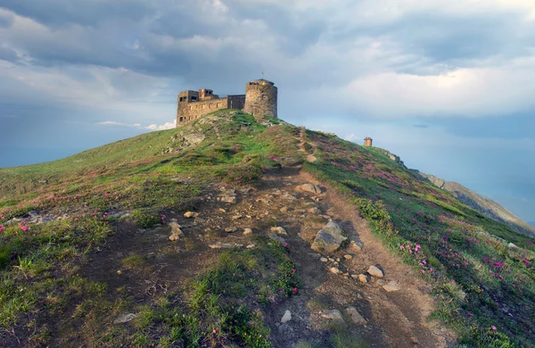  Rasathane bakan yamaçta çiçeklenme ormangülü