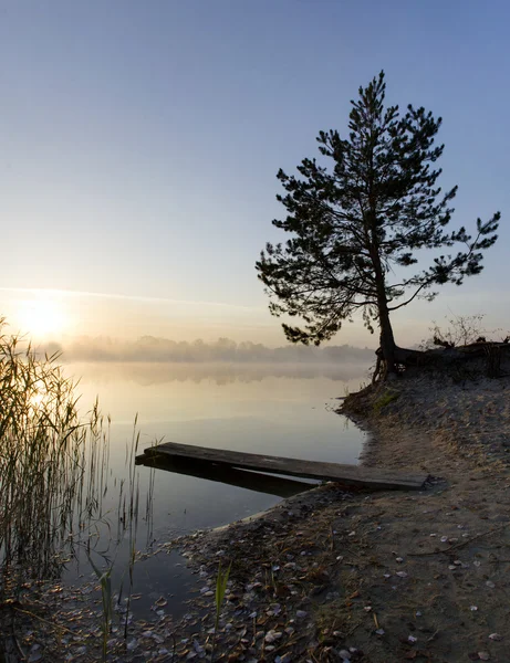 Foggy morning landscape in the autumn park near the lake. Vintag — Stock Photo, Image