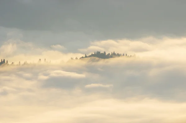 Paisagem de montanha incrível com nevoeiro denso. Montanhas Cárpatas — Fotografia de Stock