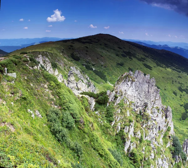 Mattina nebbioso fianco della montagna (Carpazi Mt, Ucraina ) — Foto Stock