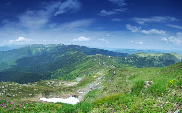 Mañana brumosa ladera de la montaña (Cárpatos Mt, Ucrania ) —  Fotos de Stock