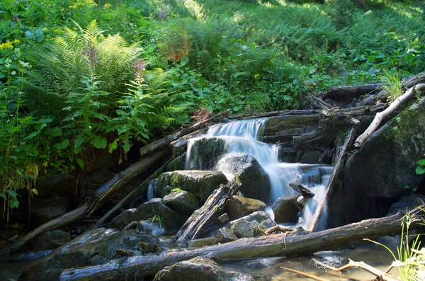 Cascade tombe sur des roches moussues — Photo