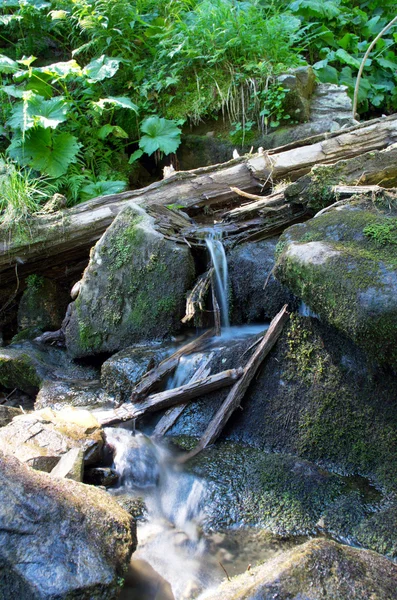 Cascada cae sobre rocas musgosas — Foto de Stock