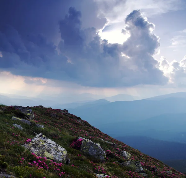 Akşam dağ yayla manzarası — Stok fotoğraf