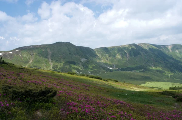 Akşam dağ yayla manzarası — Stok fotoğraf